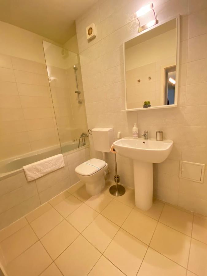 Alpha Apartment Braşov Buitenkant foto